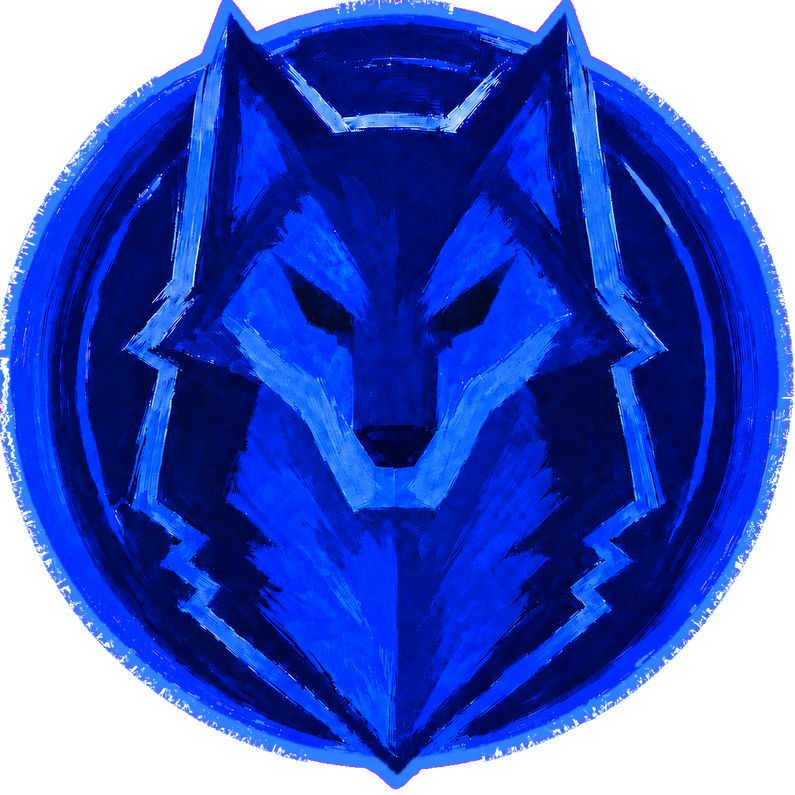 NightRaid Network
